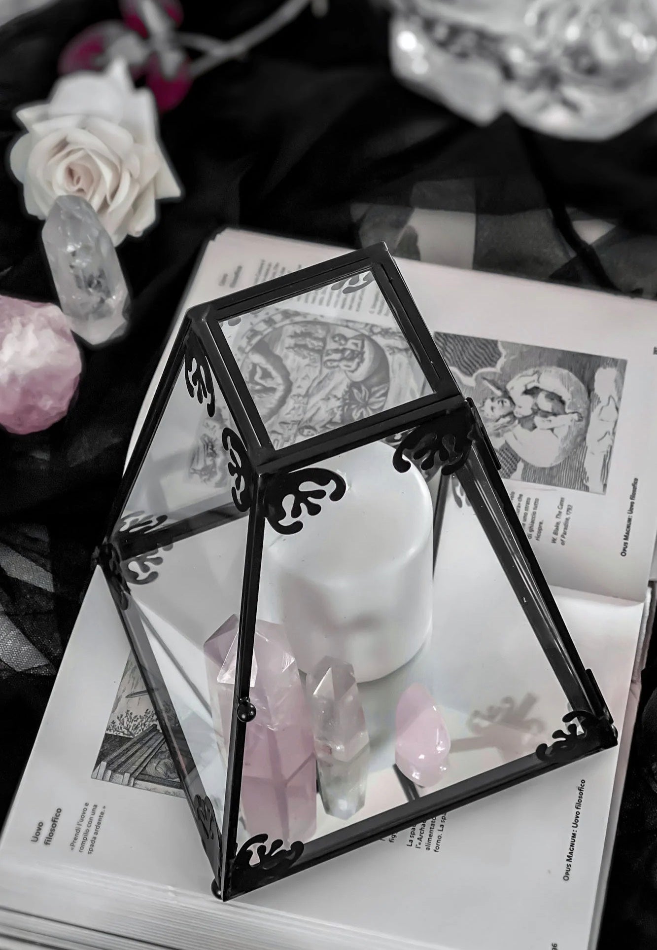 Killstar - Nova Glass Black - Display Case | Neutral-Image