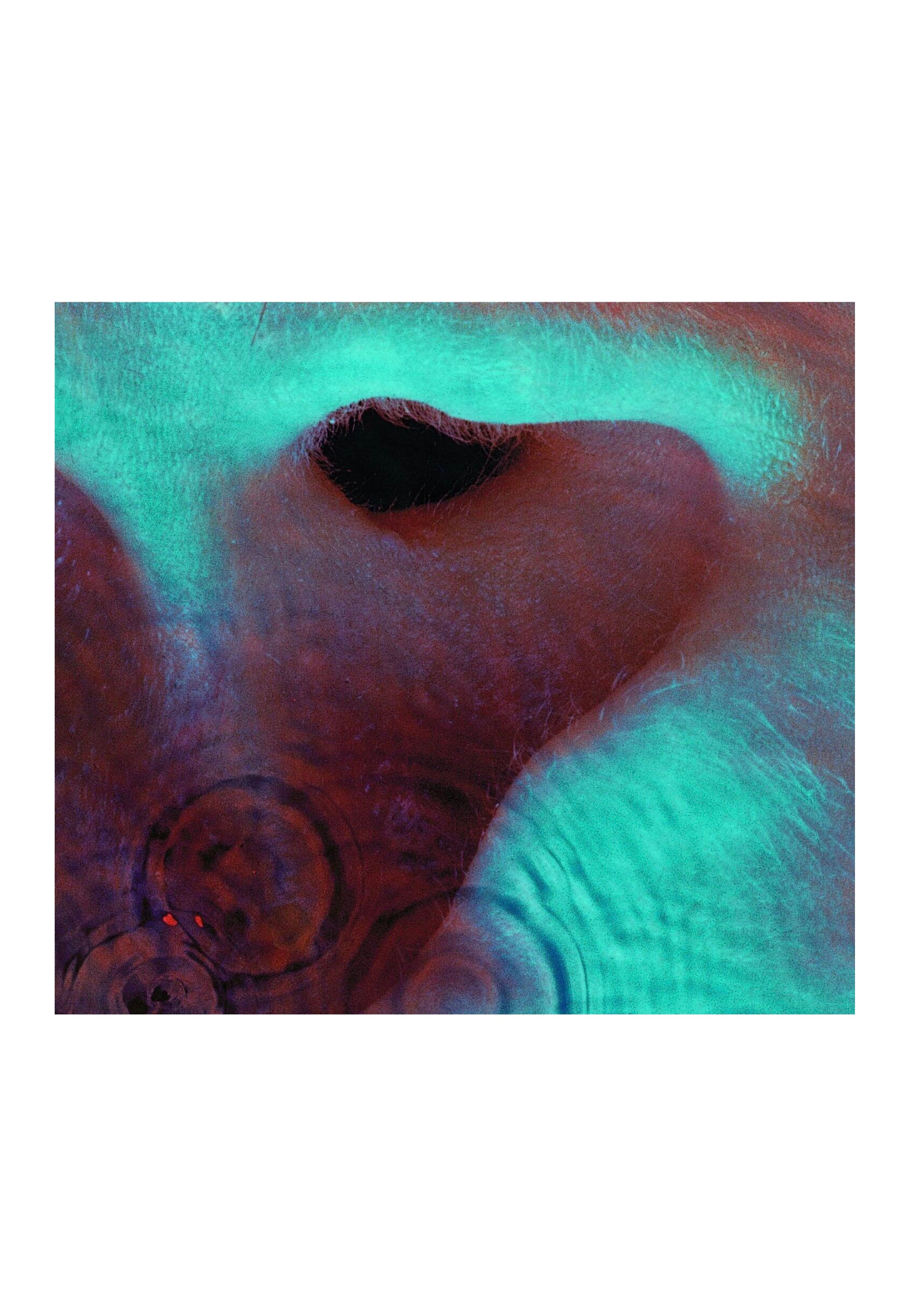 Pink Floyd - Meddle (Remastered) - Vinyl | Nuclear Blast