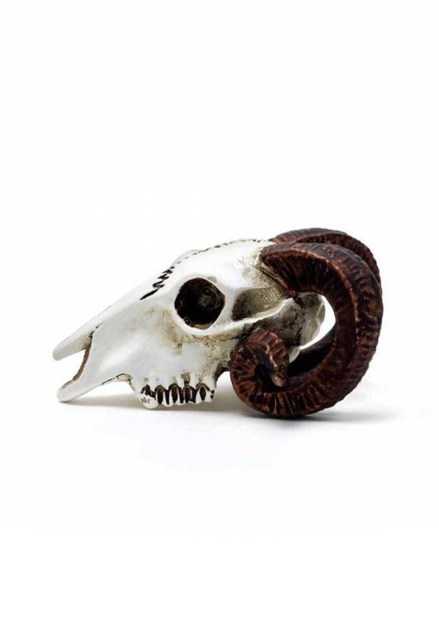 Alchemy England Rams Skull Miniature Statue