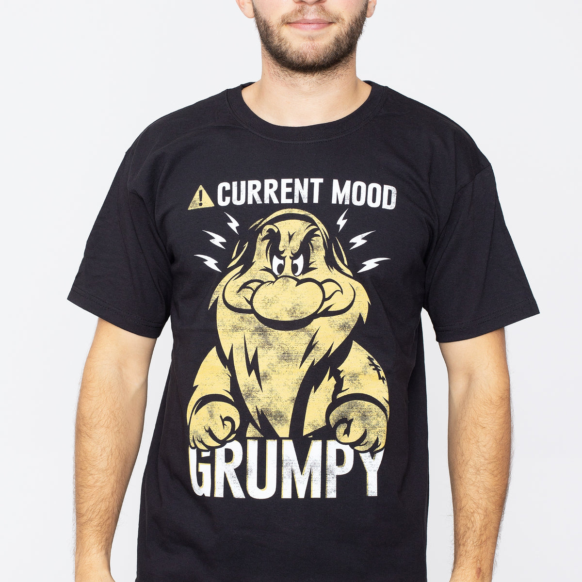Snow White And The Seven Dwarfs - Thoughtfully Grumpy - T-Shirt
