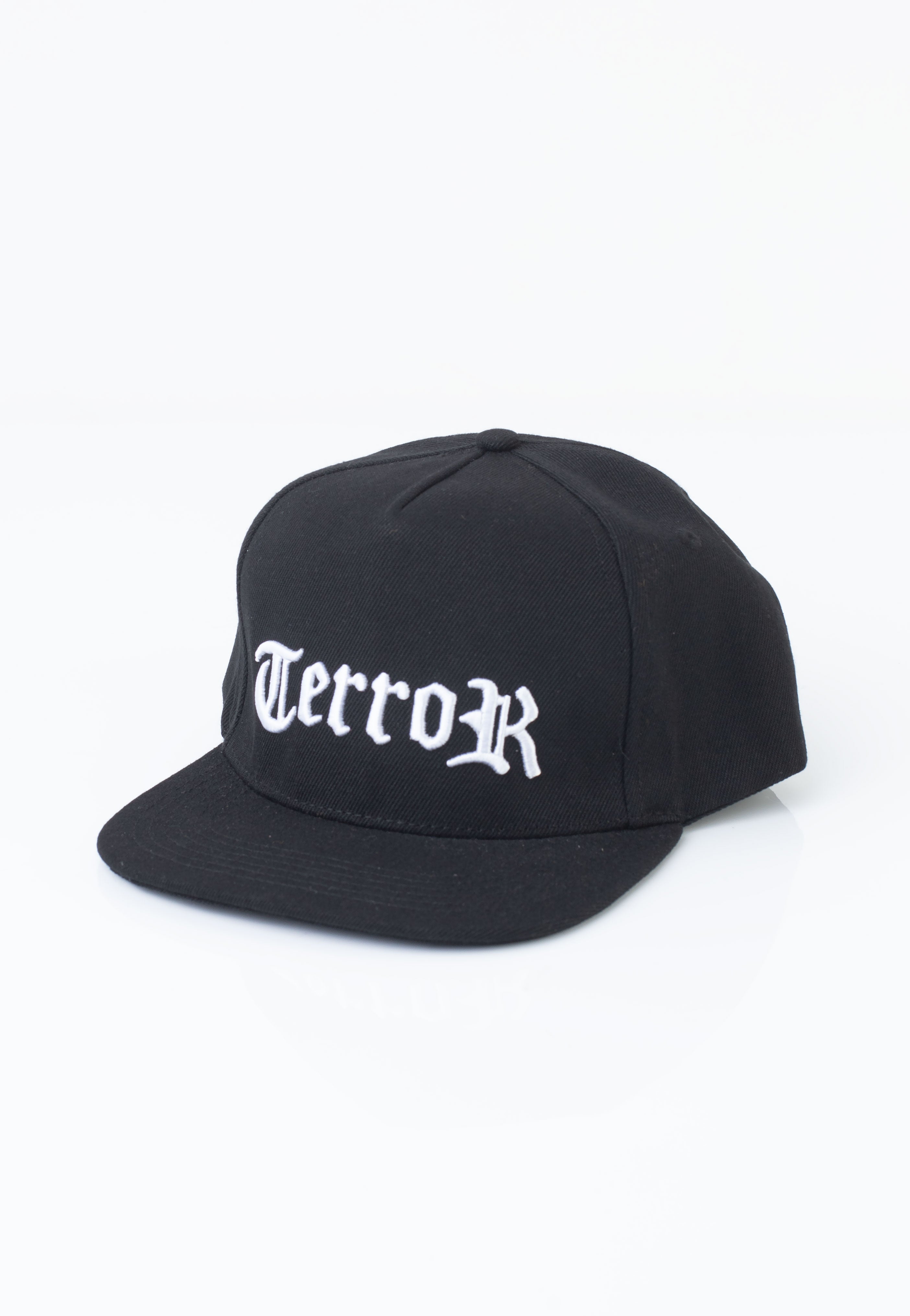 Terror - Pain Into Power - Cap | Neutral-Image
