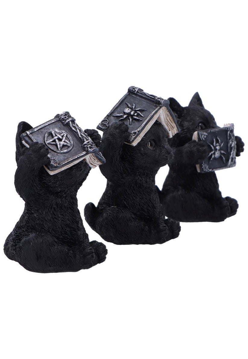 Nemesis Now - Three Wise Spell Cats - Figure | Neutral-Image