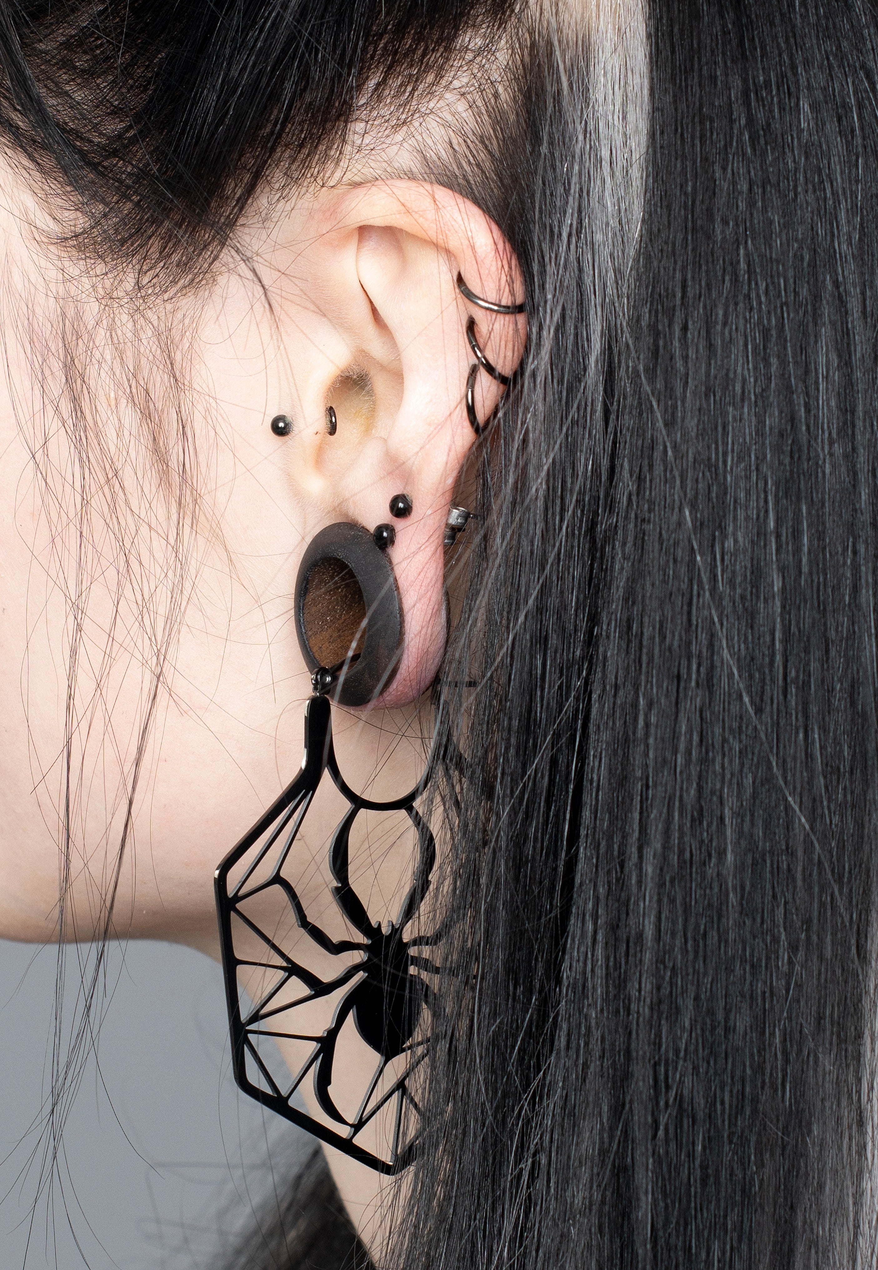 Wildcat - Spiderweb Black - Earrings