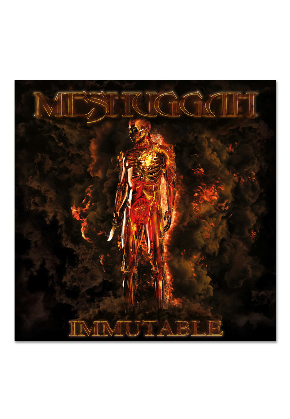 Meshuggah - Immutable Ltd. Orange/Black Circle - Colored 2 Vinyl