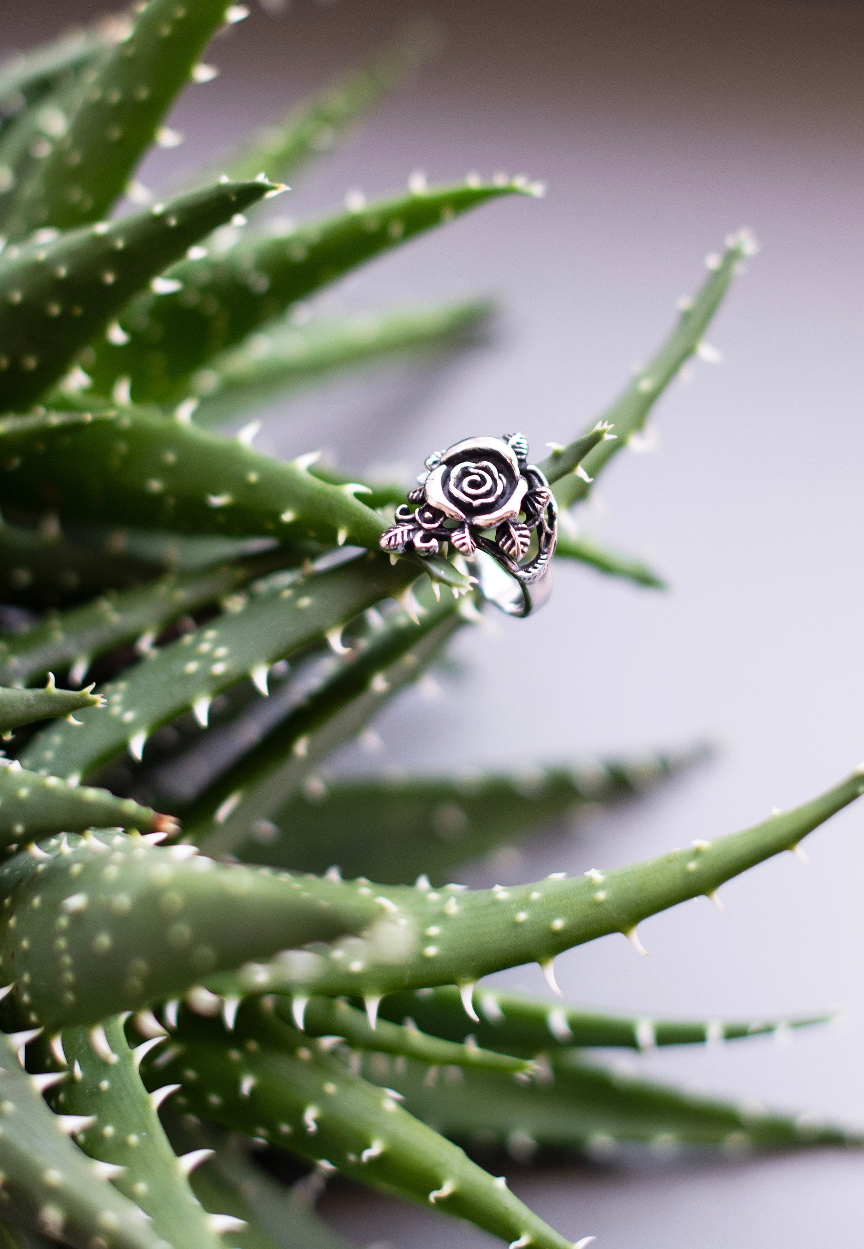 etNox - Small Rose Silver - Ring